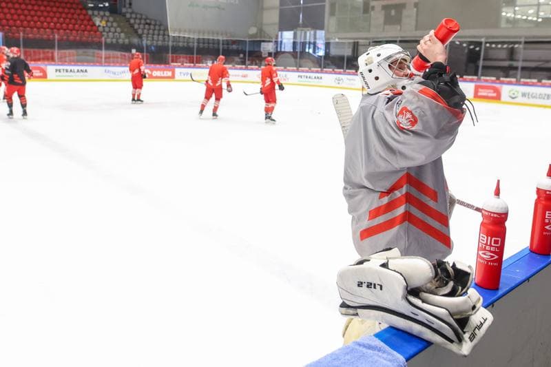 Ice Hockey. Poland national team. Training. 24.04.2023