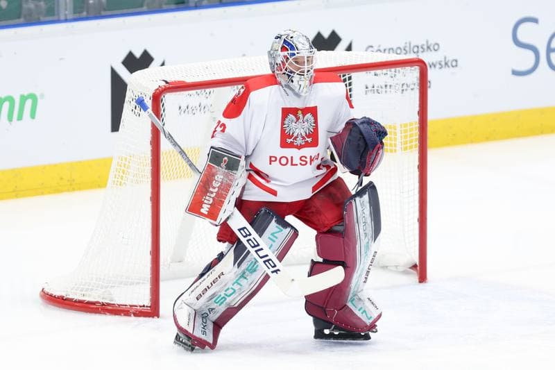 Ice Hockey. Friendly Match. Poland - South Korea. 05.02.2024
