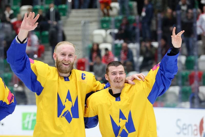 Ice Hockey. Olympic Qualification. Poland - Ukraine. 09.02.2024