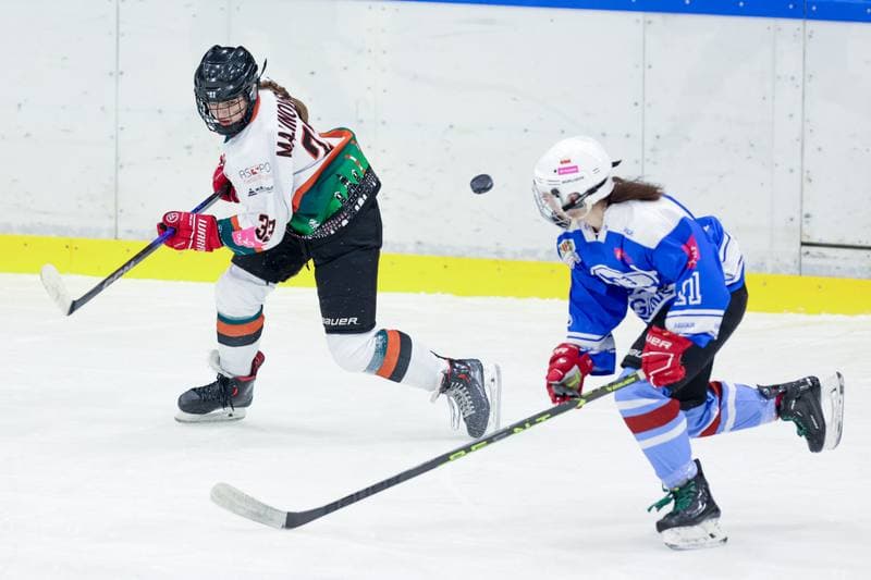 Ice Hockey. Tauron Liga. Kojotki Naprzod Janow - Stoczniowiec Gdansk. 24.02.2024