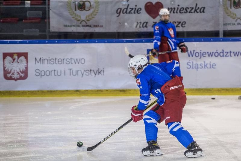 Ice Hockey. Poland national team. Training. 04.04.2022