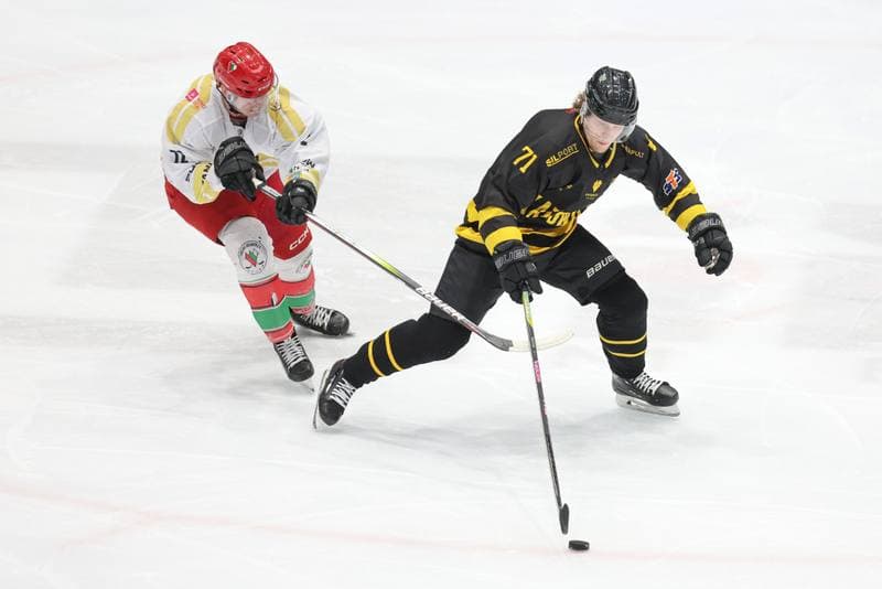 Ice Hockey. Tauron Hokej Liga. Zaglebie Sosnowiec - GKS Katowice. 06.03.2024