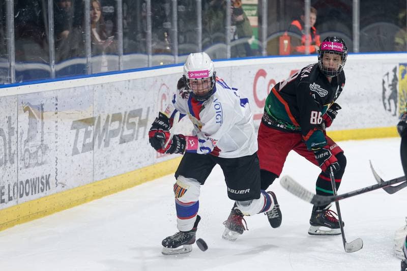 Ice Hockey. Tauron Liga Hokeja Kobiet. BS Polonia Bytom - Kojotki Naprzod Janow. 16.03.2024
