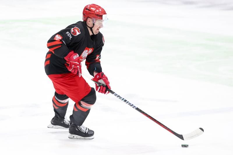 Ice Hockey. Poland national team. Training. 02.04.2024