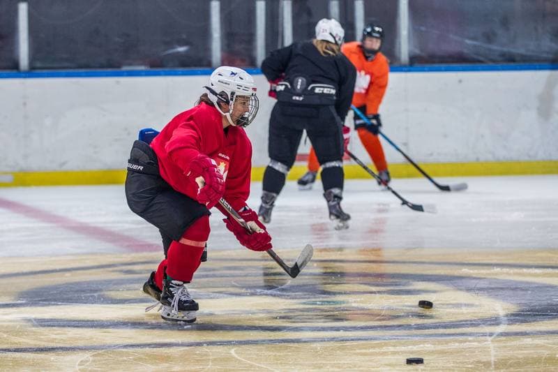 Ice Hockey. Poland national team. Training. 05.09.2019