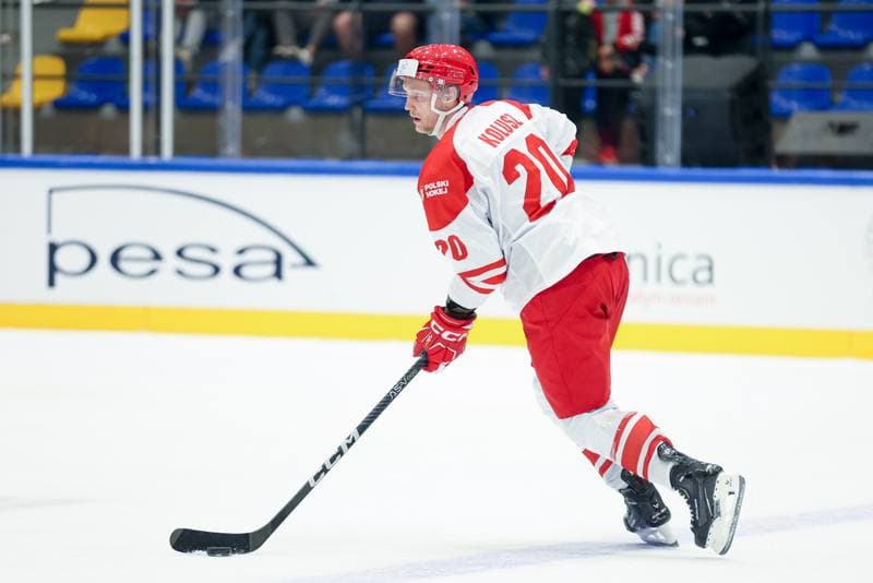 Ice Hockey. Friendly Match. Poland - Hungary. 12.04.2024