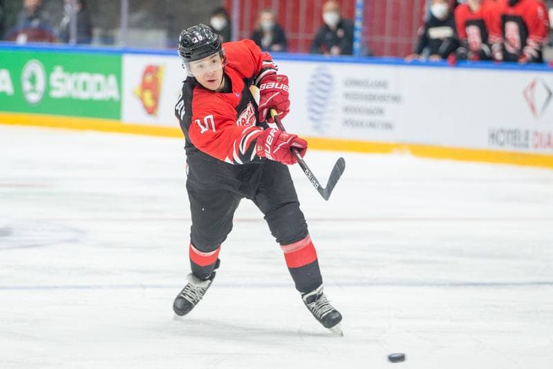 Ice Hockey. World Championship Division 1 Group B. Serbia - Japan. 26.04.2022