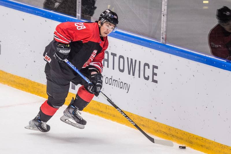 Ice Hockey. World Championship Division 1 Group B. Japan - Estonia. 28.04.2022