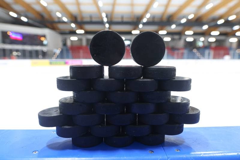 Ice Hockey. Friendly Match. Poland - Slovenia. 18.04.2024