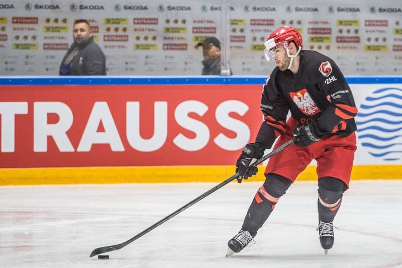 Ice Hockey. Poland national team. Training. 29.04.2022
