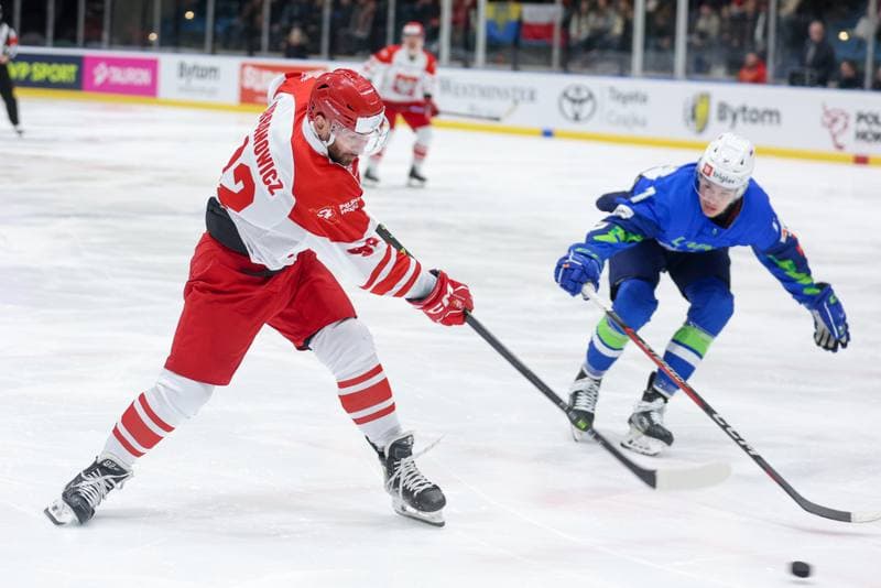 Ice Hockey. Friendly Match. Poland - Slovenia. 19.04.2024