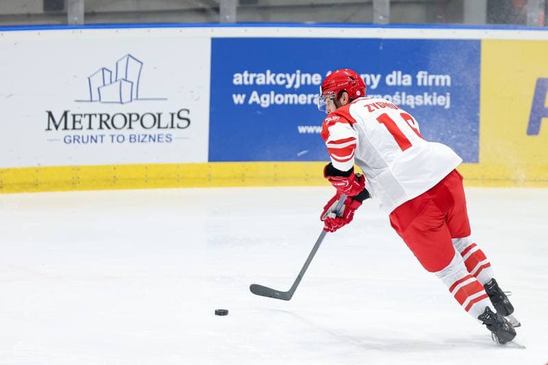 Ice Hockey. Friendly Match. Poland - Slovenia. 19.04.2024
