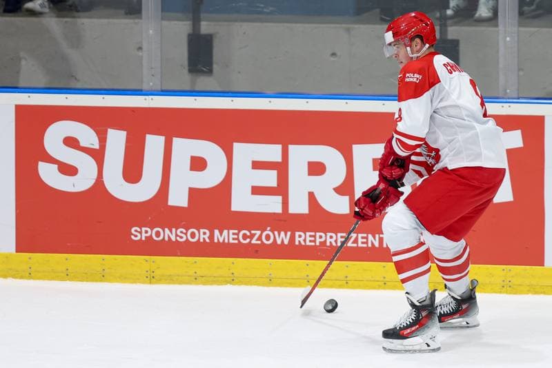 Ice Hockey. Friendly Match. Poland - Slovenia. 19.04.2024
