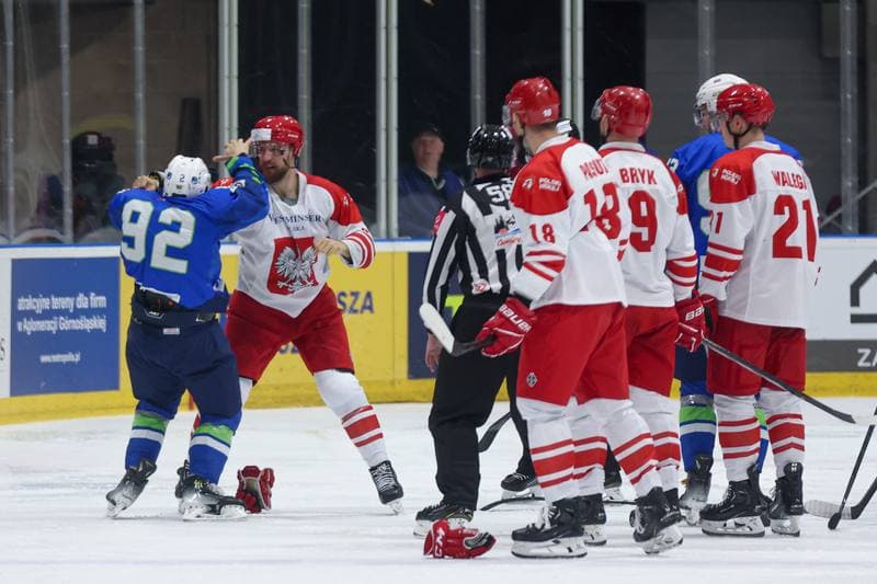 Ice Hockey. Friendly Match. Poland - Slovenia. 19.04.2024