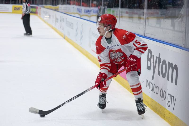 Ice Hockey. Friendly Match. Poland - Slovenia. 19.04.2024