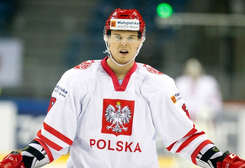 Ice Hockey. IIHF World Championship Division 1A. Poland - Japan. 20.04.2015