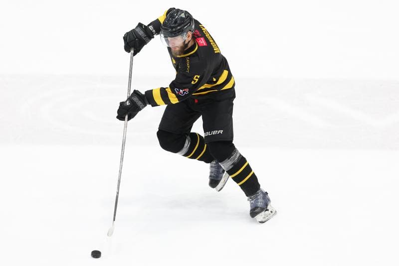 Ice Hockey. Tauron Hokej Liga. Zaglebie Sosnowiec - GKS Katowice. 21.01.2024