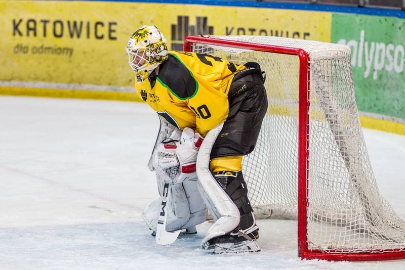 Ice Hockey. PHL. GKS Katowice - JKH GKS Jastrzebie. 03.11.2019