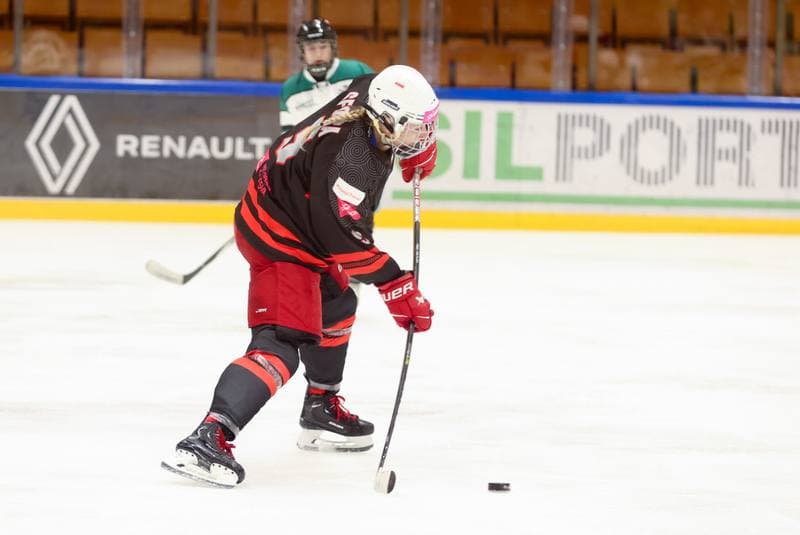 Ice Hockey. EWHL. Tauron Metropolia Silesia - KEHV Lakers. 03.02.2024