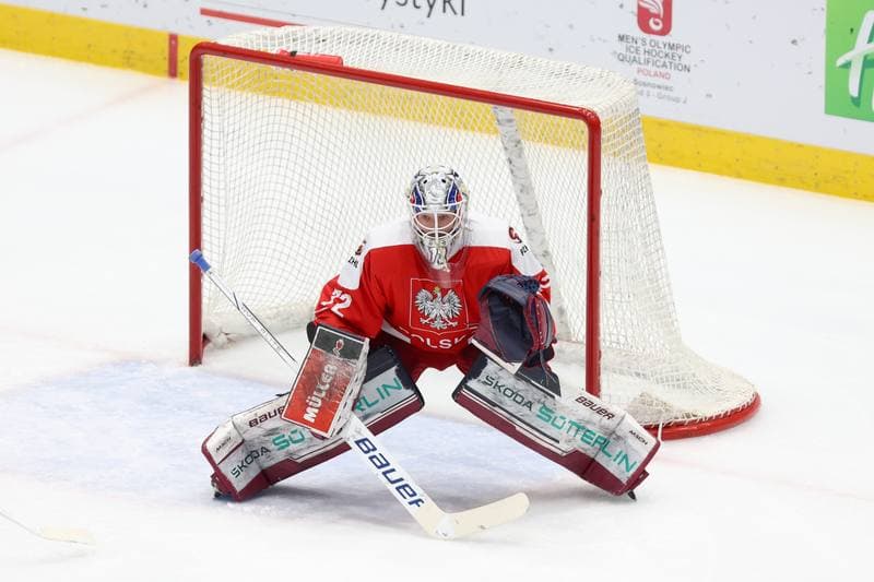 Ice Hockey. Olympic Qualification. Korea - Poland. 11.02.2024