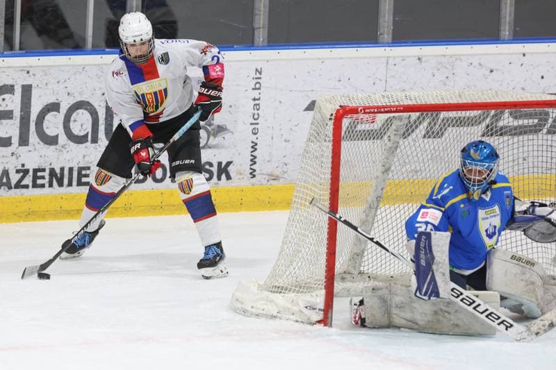 Ice Hockey. Tauron Liga Hokeja Kobiet. Polonia Bytom - UKKH Unia Oswiecim. 24.02.2024