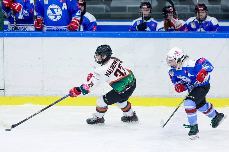 Ice Hockey. Tauron Liga. Kojotki Naprzod Janow - Stoczniowiec Gdansk. 24.02.2024