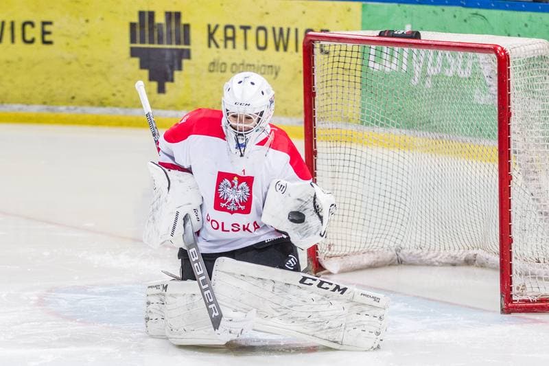 Ice Hockey. EWHL. Silesia Breckens - Hvidovre IK Selects. 30.11.2019