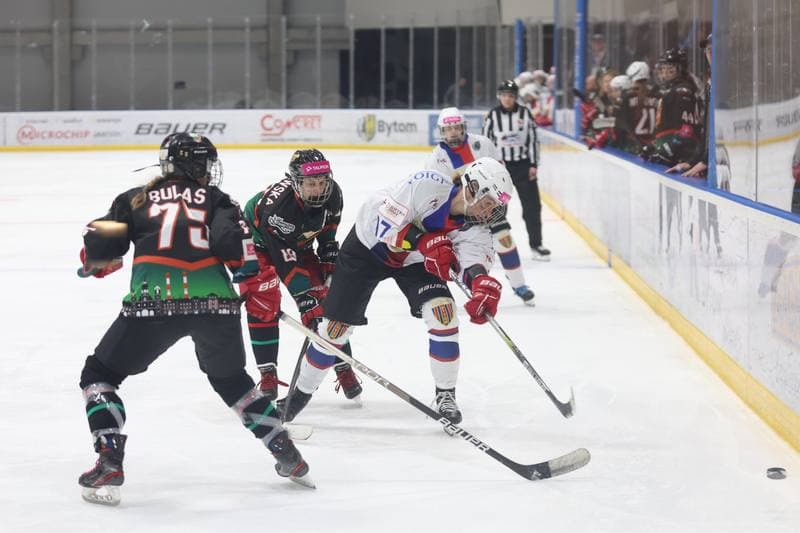 Ice Hockey. Tauron Liga Hokeja Kobiet. BS Polonia Bytom - Kojotki Naprzod Janow. 16.03.2024