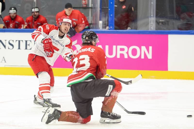 Ice Hockey. Friendly Match. Poland - Hungary. 12.04.2024