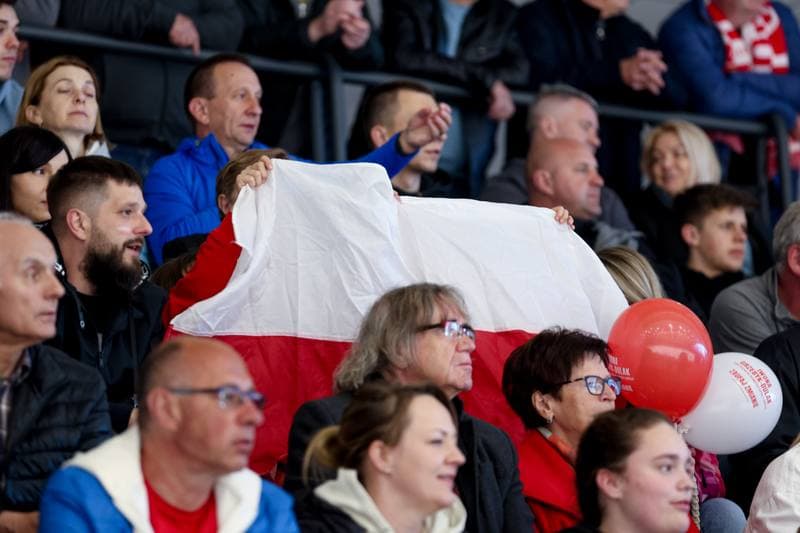 Ice Hockey. Friendly Match. Poland - Hungary. 12.04.2024