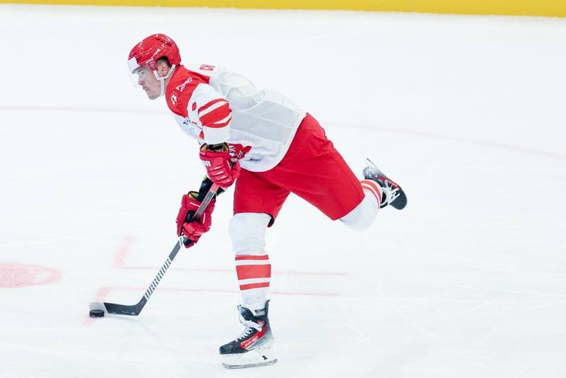 Ice Hockey. Friendly Match. Poland - Hungary. 12.04.2024