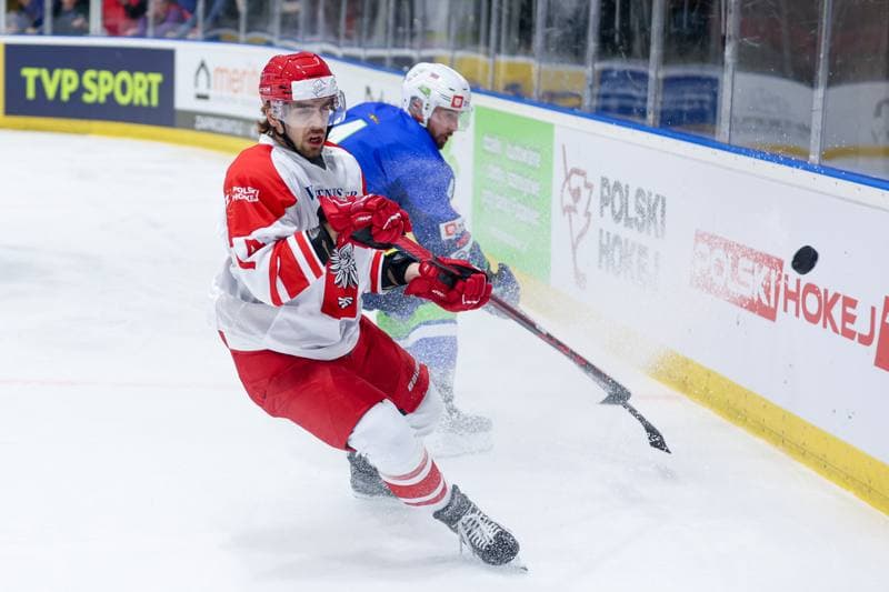 Ice Hockey. Friendly Match. Poland - Slovenia. 18.04.2024