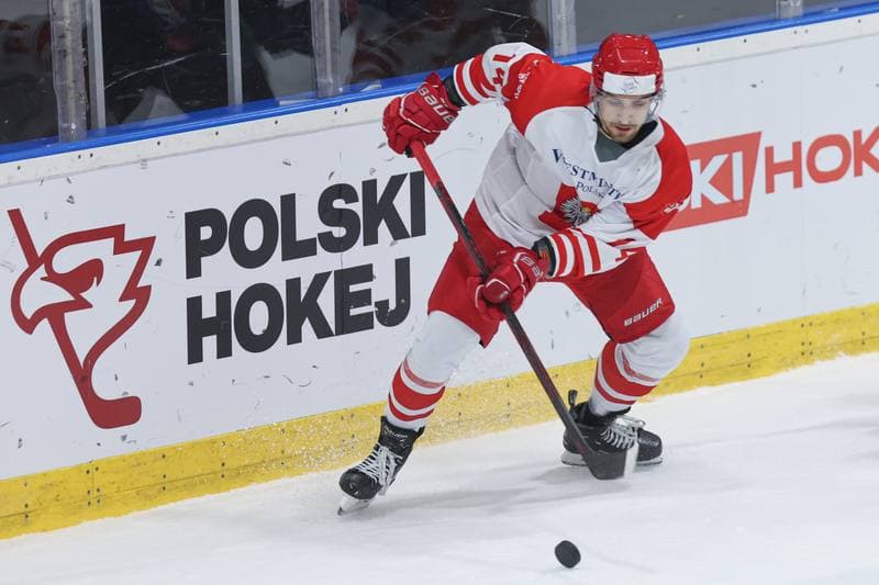 Ice Hockey. Friendly Match. Poland - Slovenia. 18.04.2024