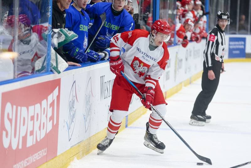 Ice Hockey. Friendly Match. Poland - Slovenia. 19.04.2024