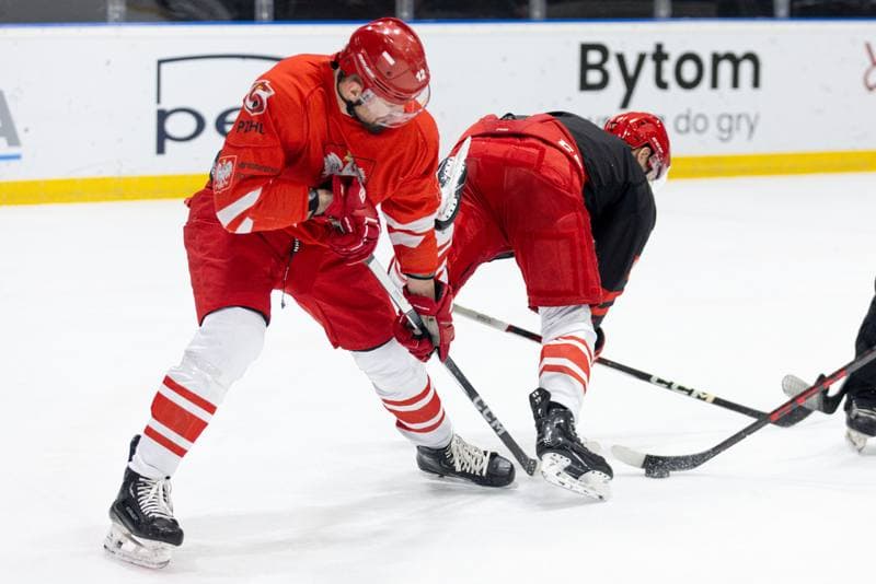 Ice Hockey. Poland national team. Training. 24.04.2024