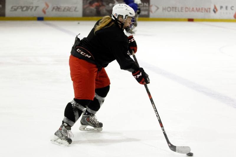 Ice Hockey. Poland national team. Training. 28.12.2018