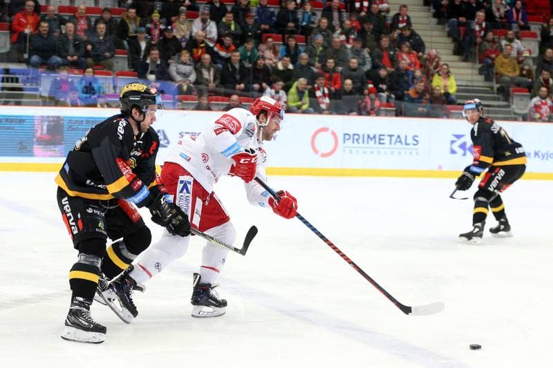 Ice Hockey. Tipsport Extraliga. Ocelari Trinec - HC Verva Litvinov. 06.01.2019