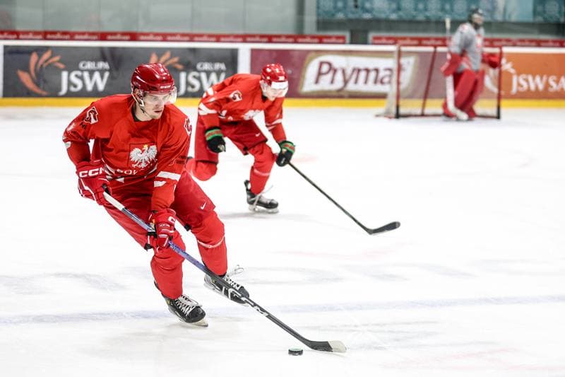 Ice Hockey. Poland national team. Training. 03.11.2024