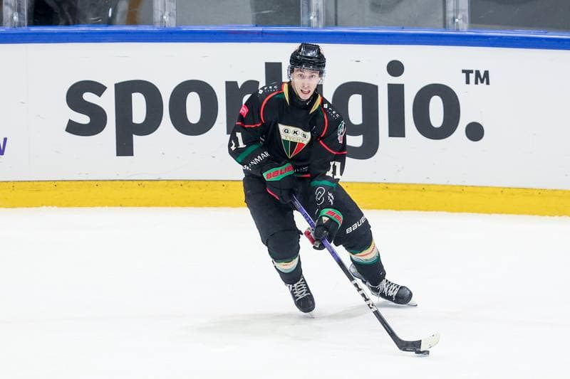 Ice Hockey. Puchar Polski. GKS Tychy - JKH GKS Jastrzebie. 30.12.2024
