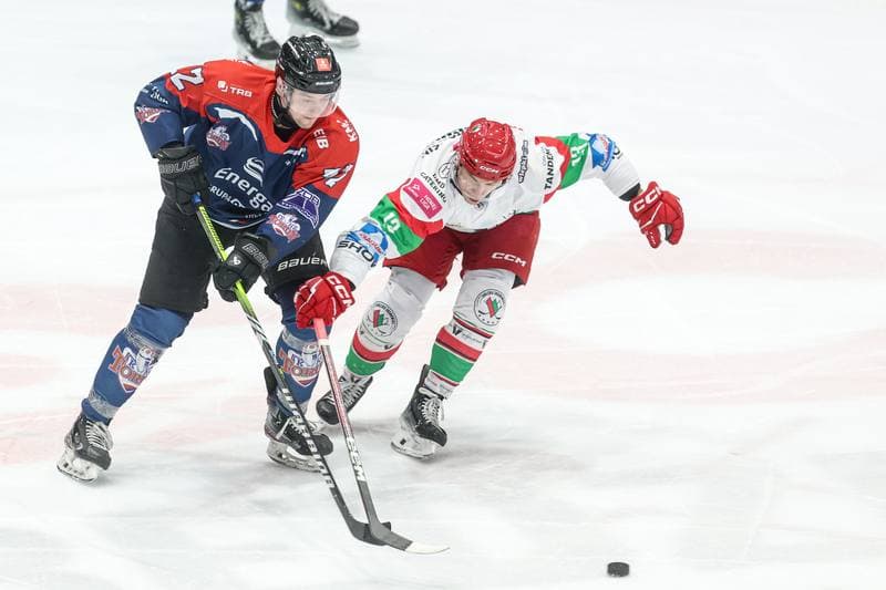 Ice Hockey. Tauron Hokej Liga. EC Bedzin Zaglebie Sosnowiec - KH Energa Torun. 19.01.2025