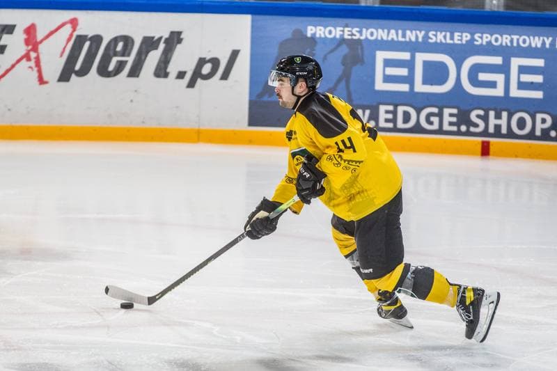 Ice Hockey. PHL. GKS Katowice - Comarch Cracovia. 20.11.2020