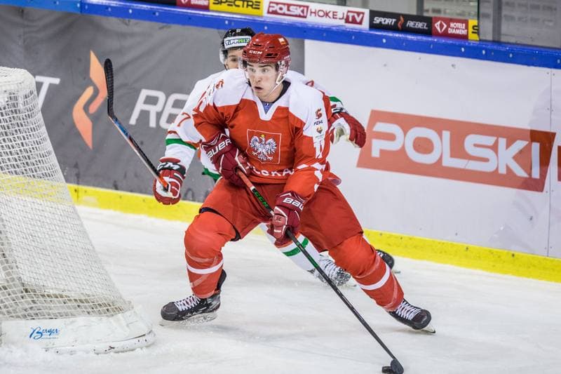 Ice Hockey. Friendly International Match. Poland - Hungary. 17.12.2020