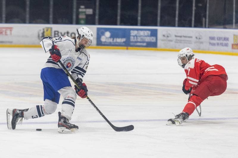 Ice Hockey. EWHL. Orlice Bytom - SKP Bratislava. 19.11.2022
