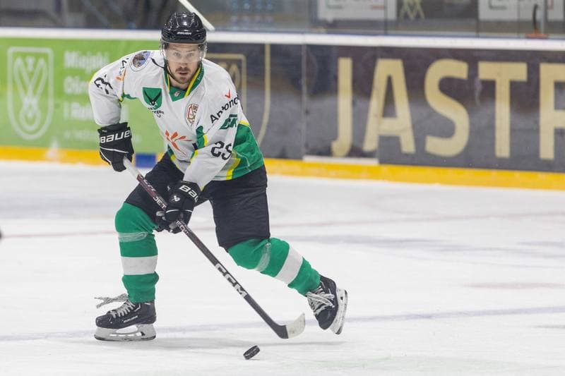 Ice Hockey. PHL. JKH GKS Jastrzebie - GKS Tychy. 25.11.2022