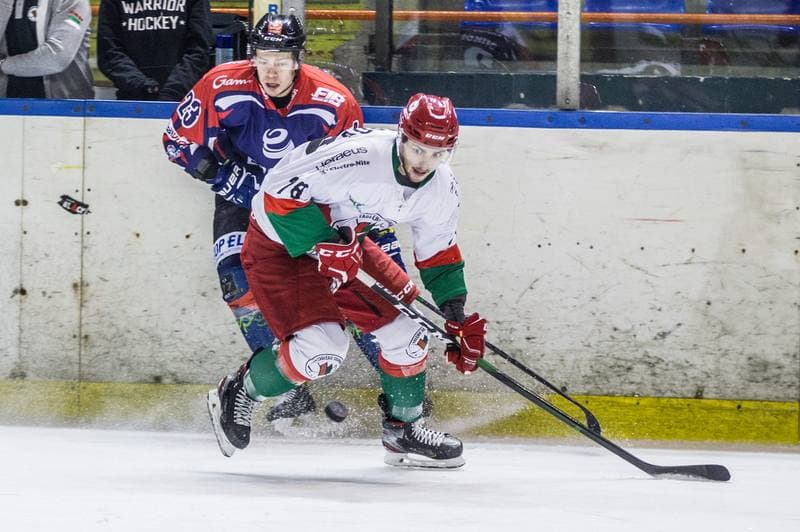 Ice Hockey. PHL. Zaglebie Sosnowiec - Energa Torun. 29.01.2021