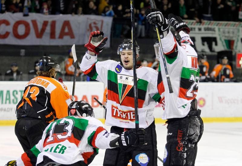 Ice Hockey. Polska Hokej Liga. GKS Tychy - JKH GKS Jastrzebie. 30.11.2014