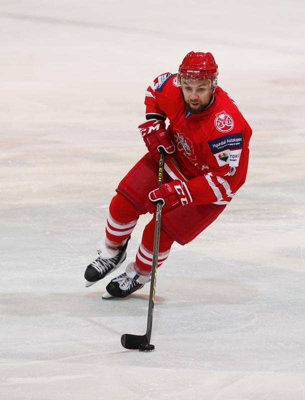 Ice Hockey. International Friendly Match. Poland - Korea. 16.04.2016