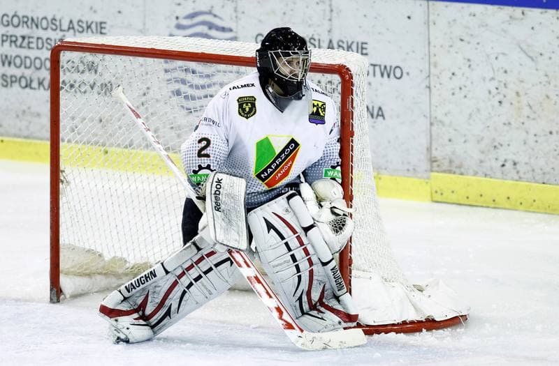 Ice Hockey. Polska Hokej Liga. Naprzod Janow - Ciarko KH Sanok. 14.12.2014