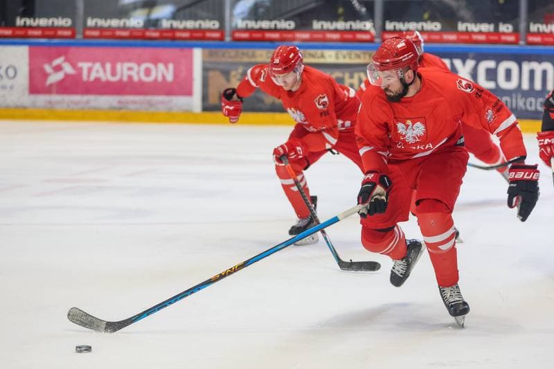 Ice Hockey. Poland national team. Training. 10.04.2023