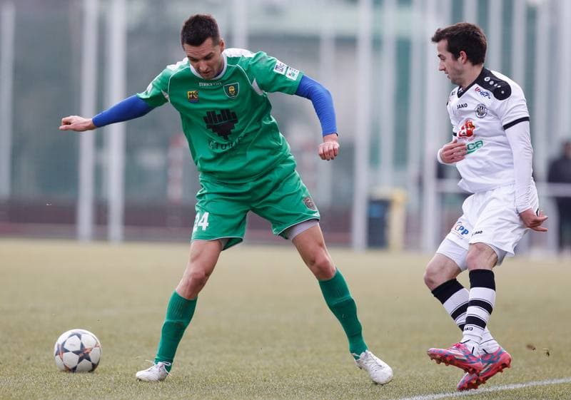 Football. Friendly Match. FC Hradec Kralove - GKS Katowice. 14.02.2015